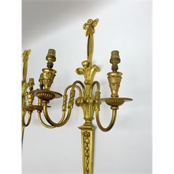 Pair of 20th century gilt metal Louis XVI style wall sconces, each with three curved branches rising from tapering backplates with husk swag and plume detail, and ribbon tied surmounts, H63cm W36cm