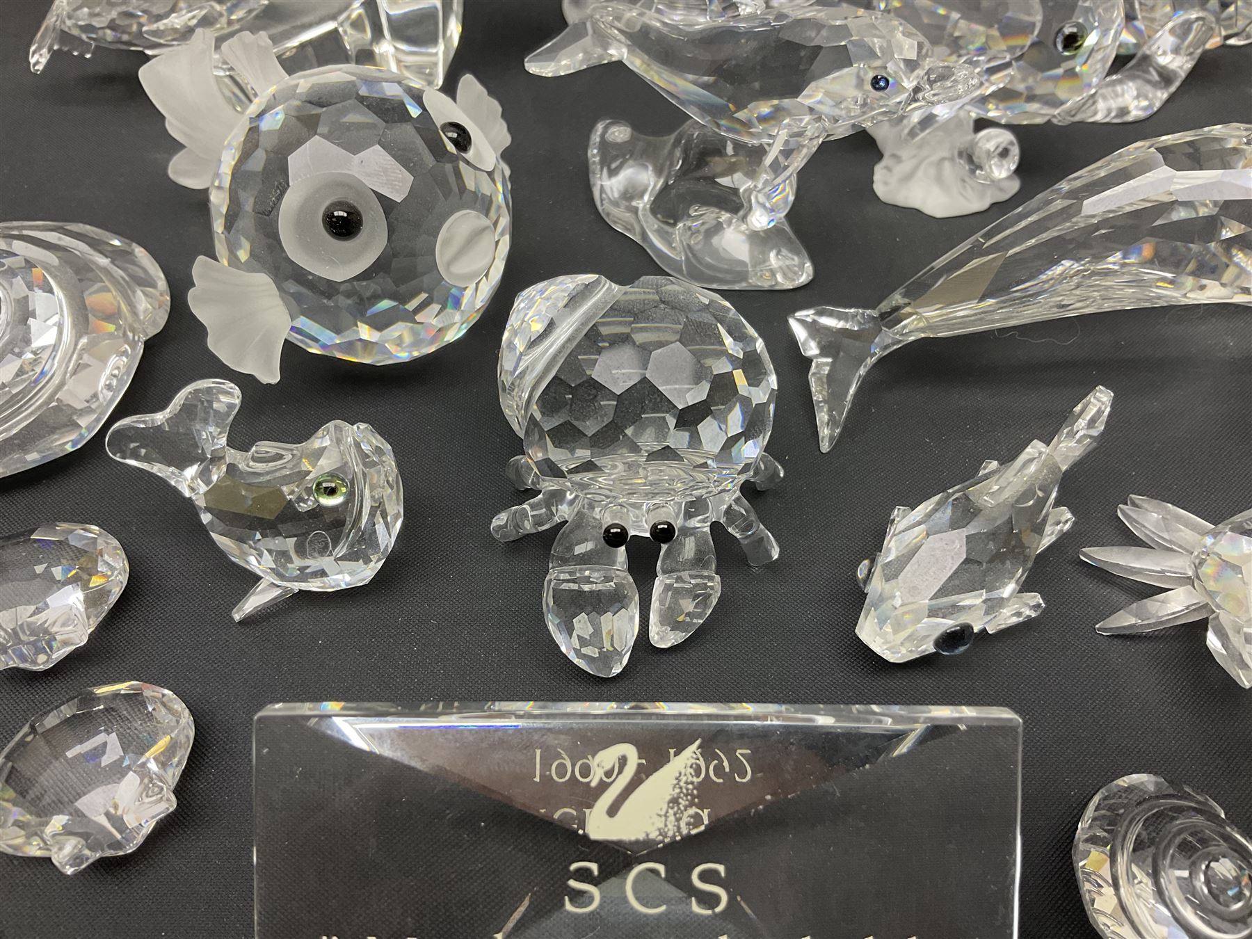 Nineteen Swarovski Crystal sea creatures, to include dolphins, seals, puffer fish, octopus, crabs, together with a quantity Swarovski Crystal shells 