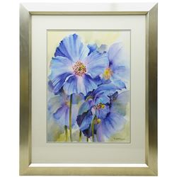 Rachel McNaughton (British Contemporary): Still Life of Purple Flowers, watercolour signed 49cm x 36cm 