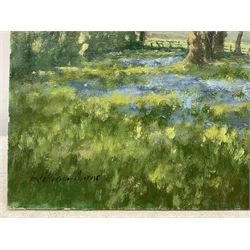 William Burns (British 1923-2010): 'Edge of the Bluebell Wood', oil on board signed, titled verso 18cm x 23cm (unframed) Provenance: Direct from the family of the artist. Notes: Born in Sheffield in 1923, William Burns RIBA FSAI FRSA studied at the Sheffield College of Art before the outbreak of the Second World War, during which he helped illustrate the official War Diaries for the North Africa Campaign, and was elected a member of the Armed Forces Art Society. On his return, he studied architecture at Sheffield University and later ran his own successful practice, being a member of the Royal Institute of British Architects. However, painting had always been his self-confessed 'first love', and in the 1970s he gave up architecture to become a full-time artist, having his first one-man exhibition in 1979.