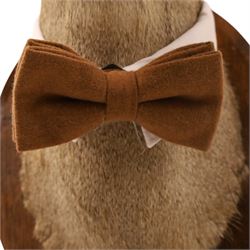 Anthropomorphic Taxidermy - Roe Deer (Capreolus capreolus), smartly dressed in spectacles and bowtie, mounted on wooden shield, H50cm