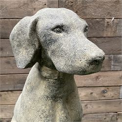 Pair of cast stone garden seated hunting dogs on rectangular plinths