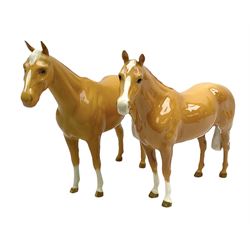 Two Beswick Palomino horse figures, comprising 'Imperial' Palomino, model no. 1557, designed by Albert Hallam and James Hayward, together with Palomino Arab model no. 1771, both stamped, tallest H20cm
