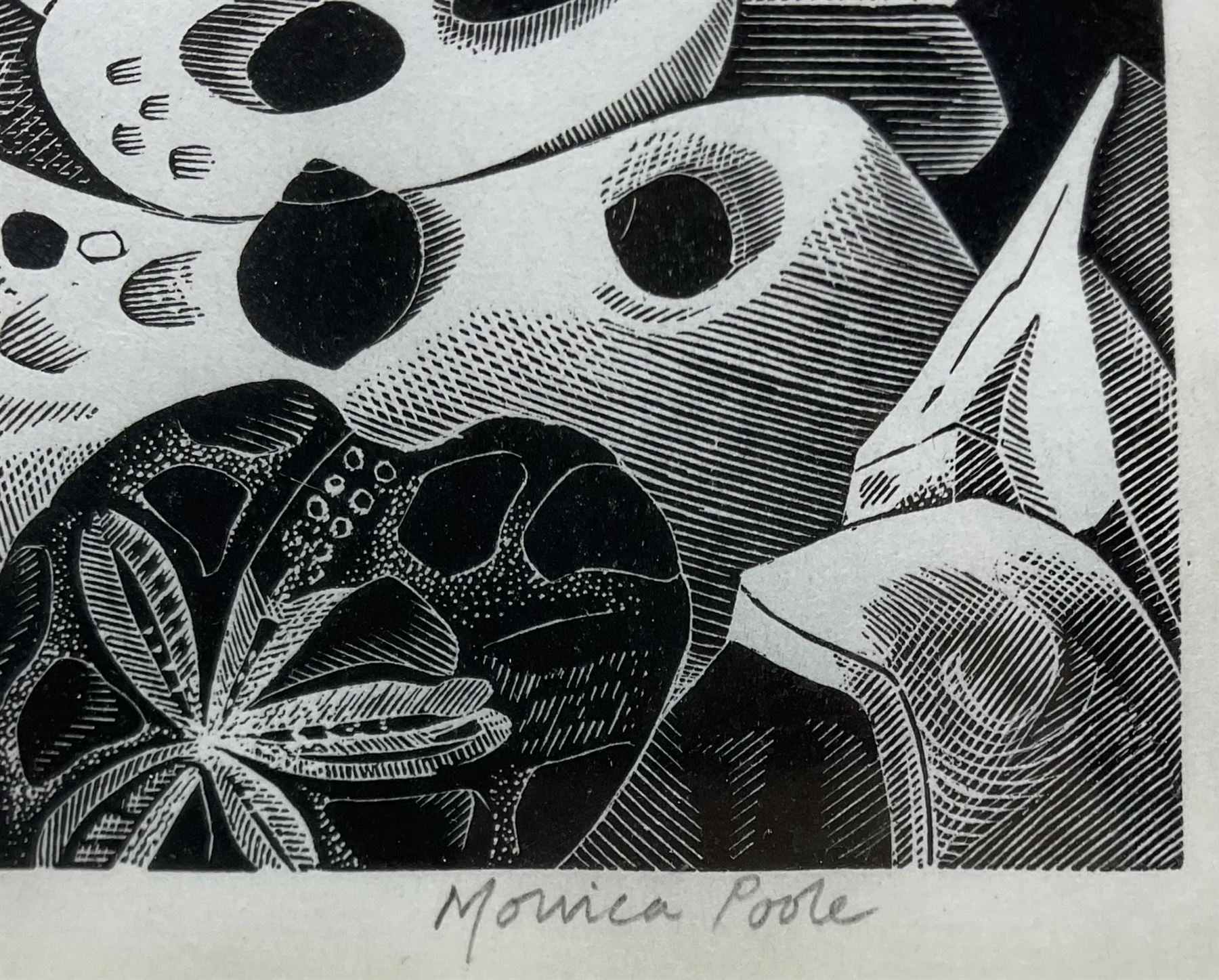 Monica Poole (British 1921-2003): 'Rock Crevice', wood engraving signed titled and numbered 9/60 in pencil, further titled and dated 1980 with artist's address verso 15cm x 12cm
