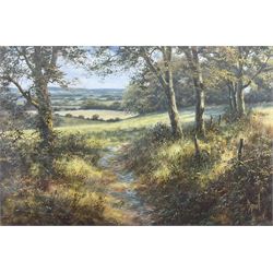 David Dipnall (British 1941-): 'Dappled Sunlight', oil on canvas signed, titled and dated 1995 verso 29cm x 34cm
Provenance: with E Stacy-Marks, Polegate, East Sussex, Stock No.D3546, label verso 
