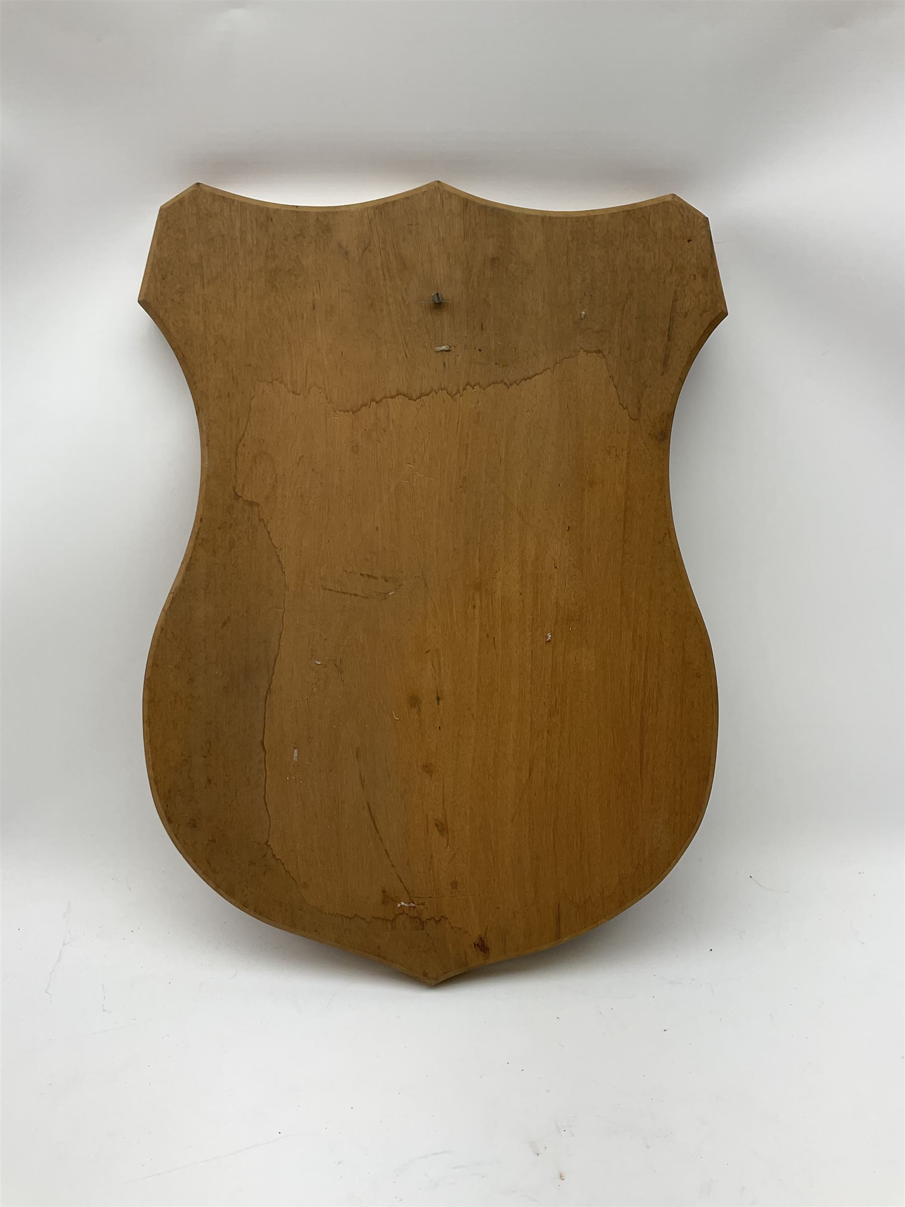 Five wooden shield plaques for mounting taxidermy of various sizes, largest H67cm, D51cm. 