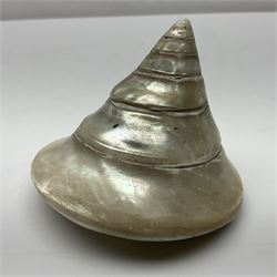 Mother of pearl nativity scene, together with mother of pearl box, shell and carved shell