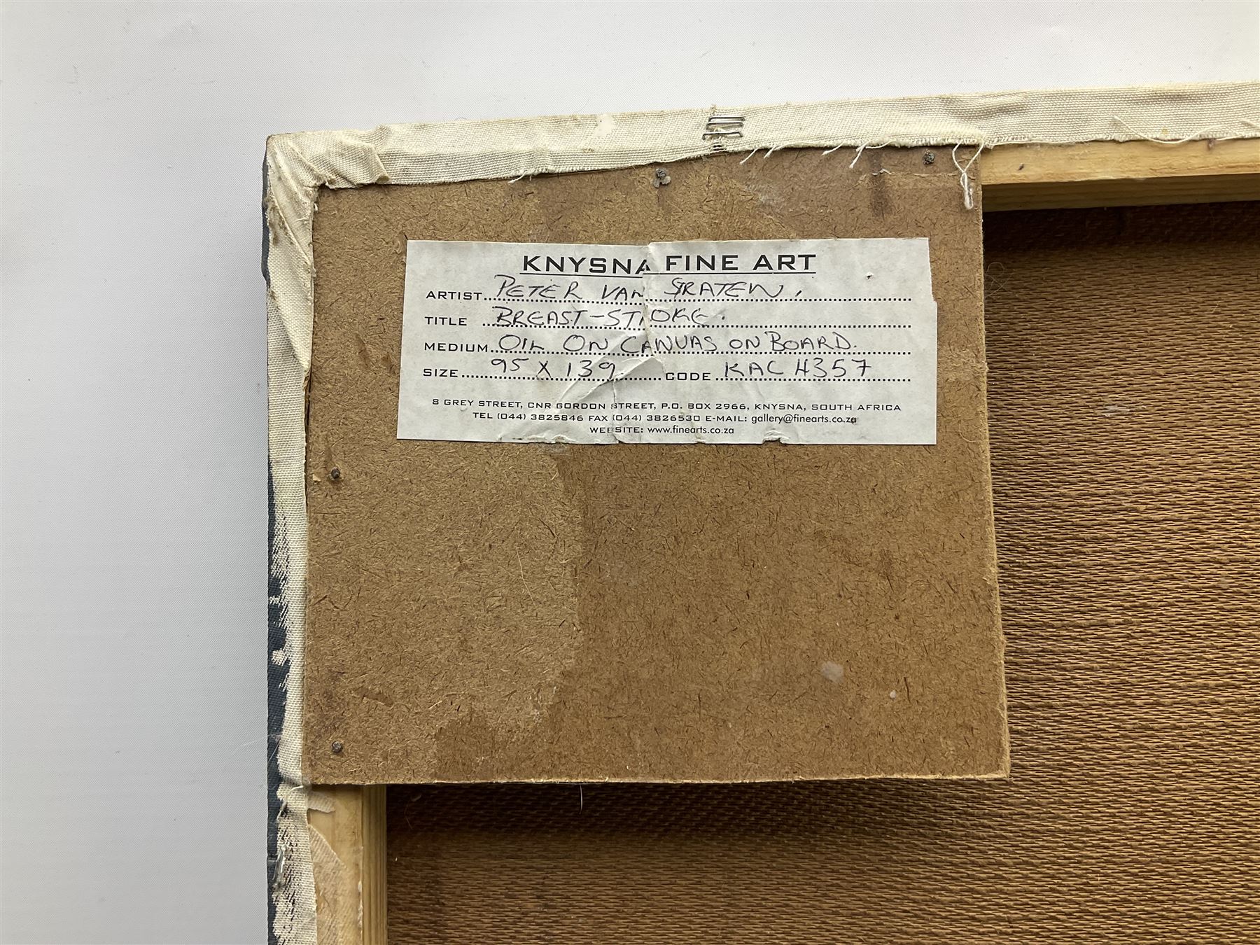 Peter Van Straten (South African 1972-): 'Breast-Stroke' Flying Girl and Terrier, oil on canvas laid on board signed, titled verso 95cm x 139cm (unframed)
Provenance: with Knysa Fine Art, 8 Grey St., Knysa, South Africa, label verso