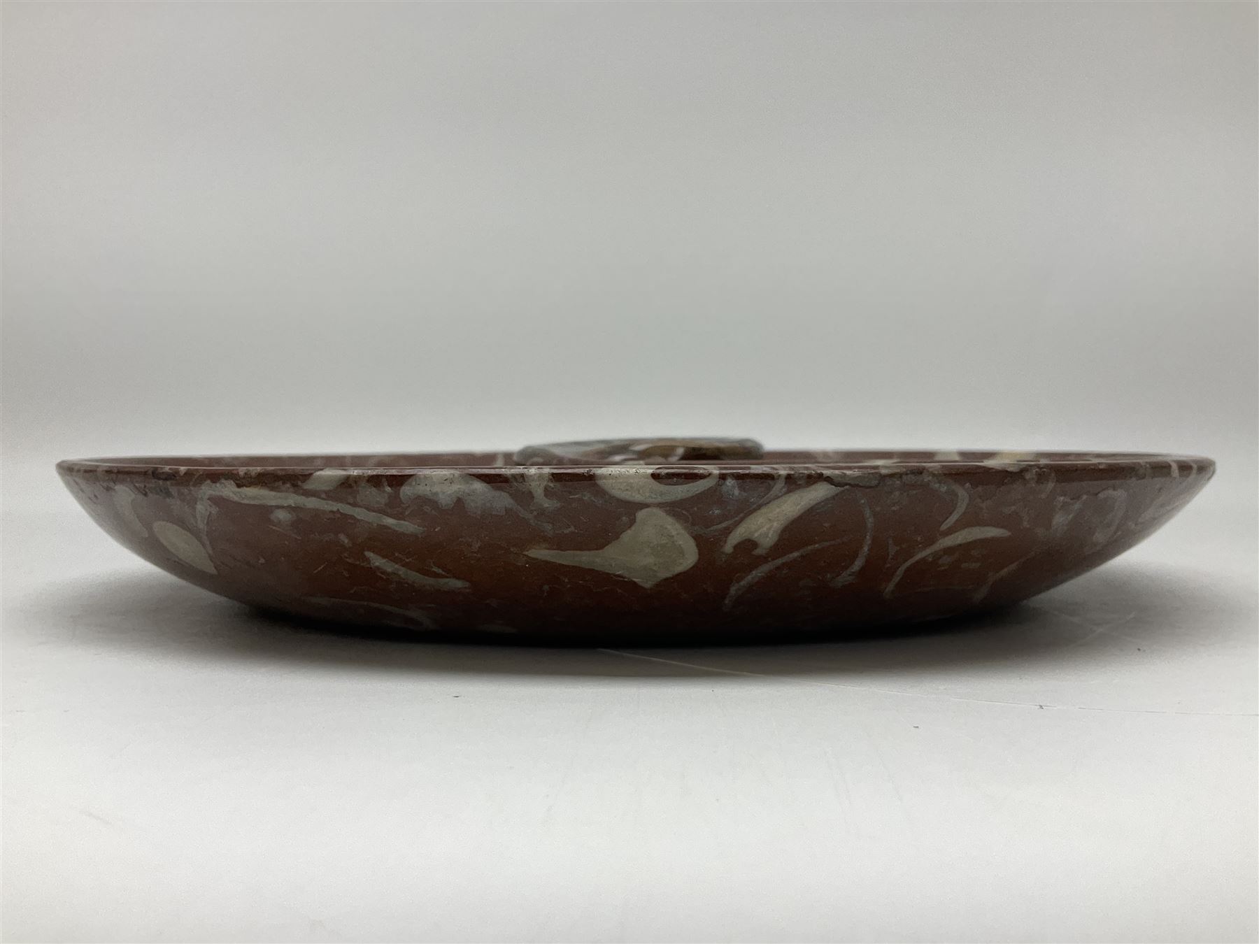 Large circular dish with a raised Goniatite to the centre and Orthoceras inclusion, age: Devonian period, location: Morocco, D30cm