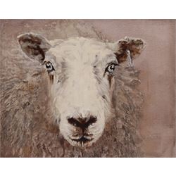 Sarah Williams (British 1961-): Head of a Sheep, oil on canvas signed and dated 2019 verso 

Generously donated by the artist