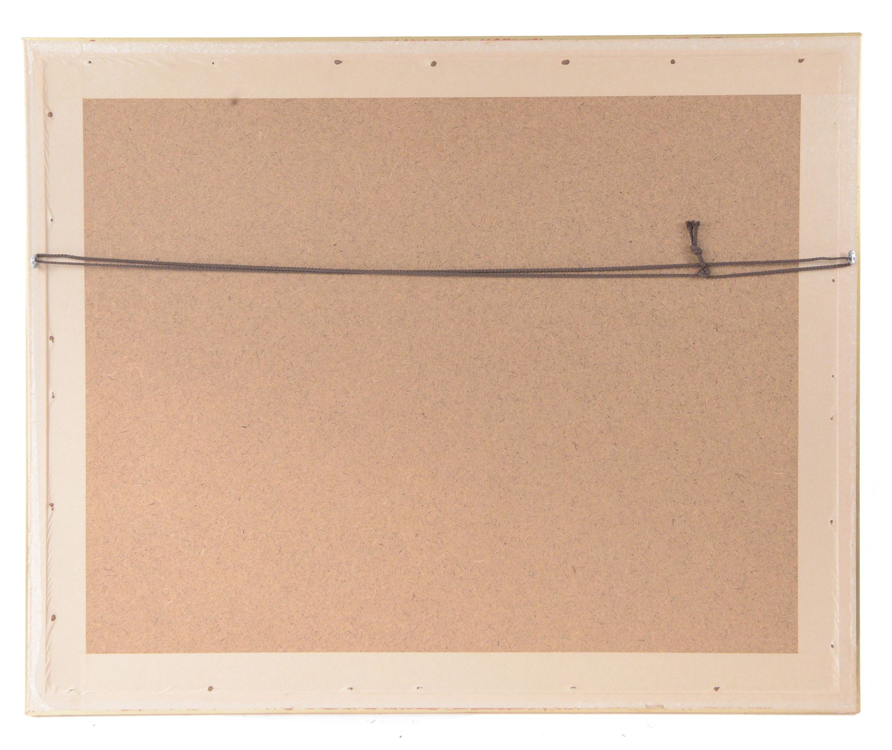 After John Gould (British 1804-1881) and Henry Constantine Richter (British 1821-1902): 'Limosa Melanura' or Black-tailed Godwit, colour lithograph 35cm x 48cm 