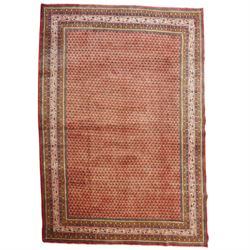 West Persian Boteh-Mir hand-knotted rug, madder red field densely decorated with a repeati...