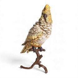 After Franz Bergman cold painted bronze model of a Cockatoo on a on a naturalistic perch base, bears stamps 'Geshutzt', H31cm