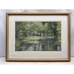 Robert Brindley (Northern British 1949-): 'Reflections', pastel signed, titled and dated '97 verso, 32cm x 50cm 