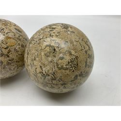 Pair of fossilised coral spheres, D12cm