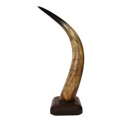 American horn with carvings to commemorate Billy Richardson the first Pony Express Rider dated April 1860 mounted on a wooden base 56cm