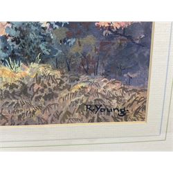 R Young (British 20th century): Roseberry Topping, watercolour signed 24cm x 36cm