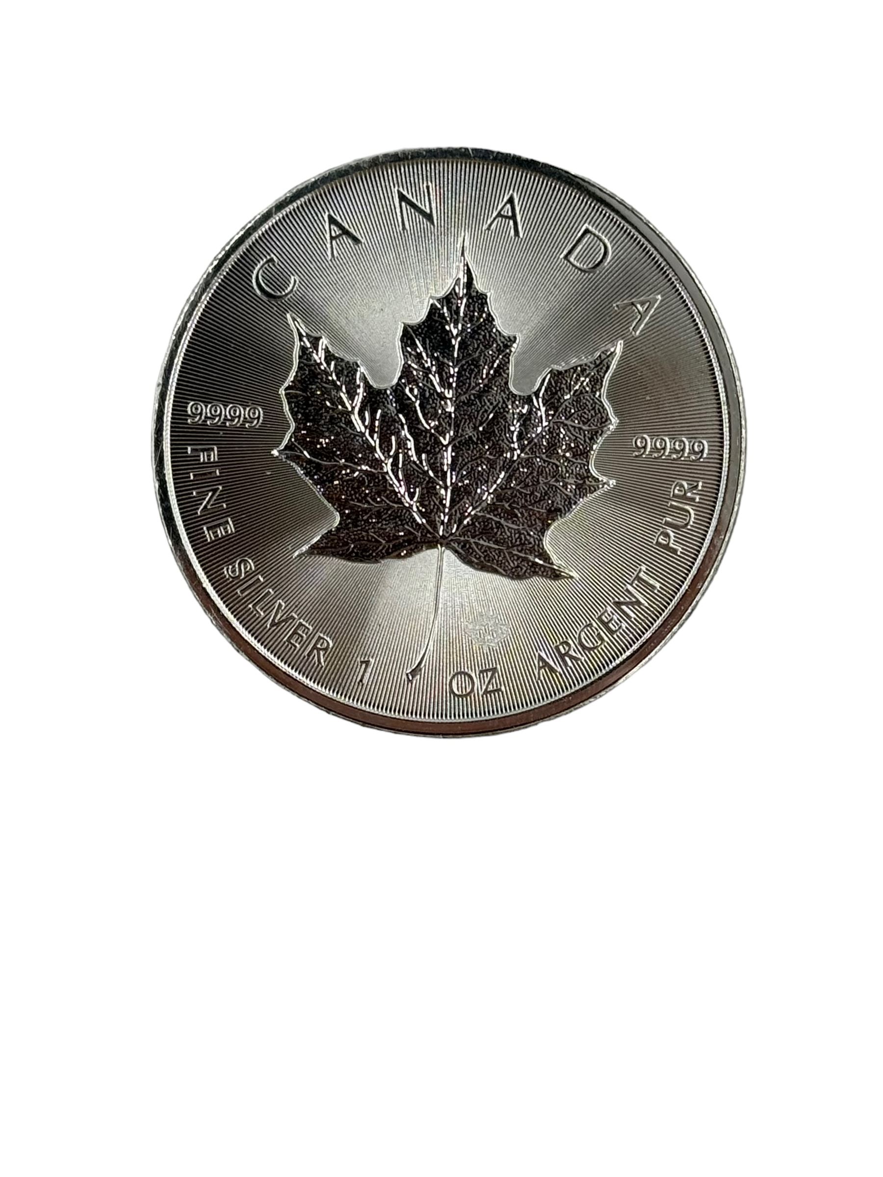 Ten Queen Elizabeth II Canada one ounce fine silver five dollar coins, including 2013 'Antelope', 2013 'Wood Bison', 2020 'Maple Leaf' etc