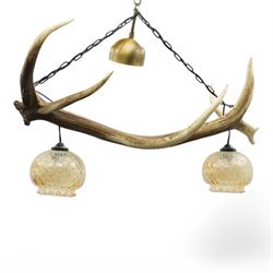 Red stag chandelier, the single antler w