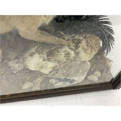 Taxidermy: 19th century cased display Red Fox (Vulpes vulpes) with pray, weasels (Mustela), Great Crested Grebe (Podiceps cristatus), and other birds in a naturalistic setting against a painted backboard, encased within an ebonised three pane display case, H56cm D38cm W113cm