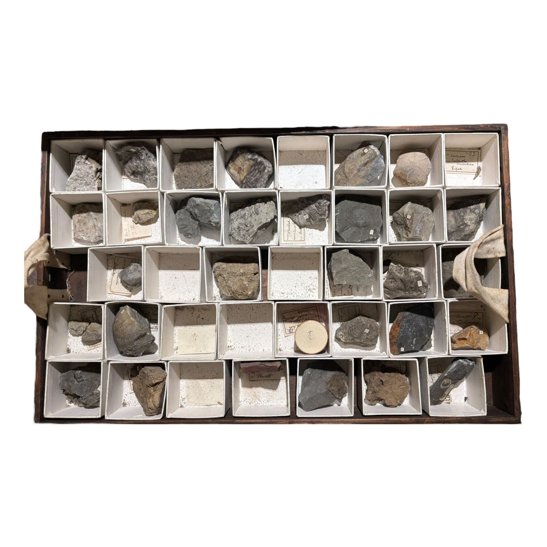19th century box holding a collection of British Fossils, with makers label to the lid 'Collection of British Fossils to illustrate the textbooks and manuals of geology by Lyell, Page, Green & C, Arranged stratigraphically by James R. Gregory & Co mineralogisits .....', all samples numbered with and scribed name labels    
