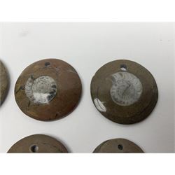 Six goniatite circular pendents, D3cm