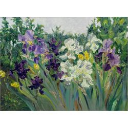 Catherine Tyler (British 1949-): Garden Irises, oil on board signed 75cm x 100cm