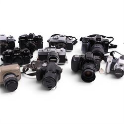 Twelve Minolta cameras and a Panasonic Lumix DMC-FZ8