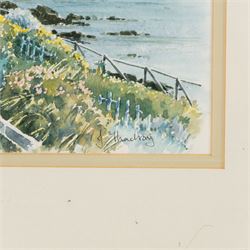 Janet Thackray (British 20th century): Lady Palmer's Cottage - Runswick Bay, watercolour signed 24cm x 34cm; M Taylor (British 20th century): 'Thistle - The Fleece Shorn', watercolour signed and dated '83, titled on label verso 25cm x 34cm (2)