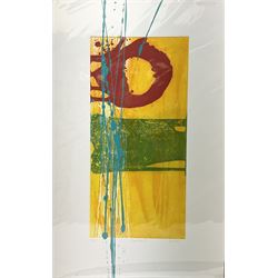 Charlotte Cornish (British 1967-): 'Equating I', screenprint signed titled and numbered 4/150 in pencil 76cm x 47cm (unframed)