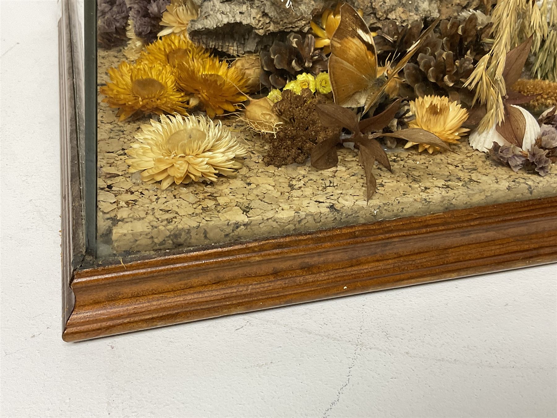 Entomology: 20th century cased moth and butterfly diorama, including Godart morpho, Chrysiridia rhipheus, Cathosia biblis, Appias lyncida, Hamadryas and others arranged amongst dried flowers and grasses, enclosed in a glass five sided terrarium display case with a wooden base, L43cm D43cm H49cm 