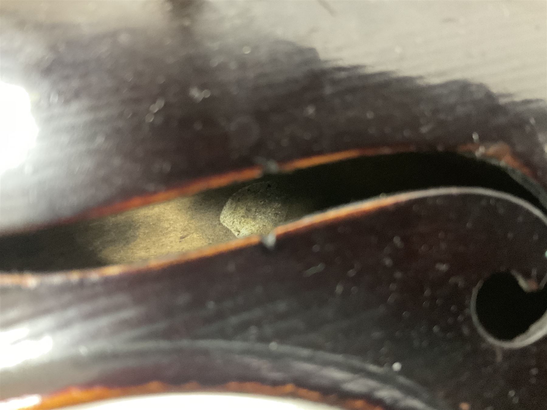 Neuner & Hornstiner early 20th century half size violin c1900, two piece maple back and ribs with a spruce top in a later ridged carrying case, no bow Length 57cm