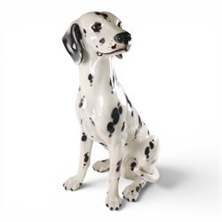 Life-sized model of a seated Dalmatian, H80cm