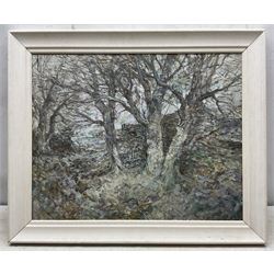 Alfred Ainslie O'Brien (Northern British 1912-1988): Stone Walls and Trees, oil on panel signed 47cm x 60cm