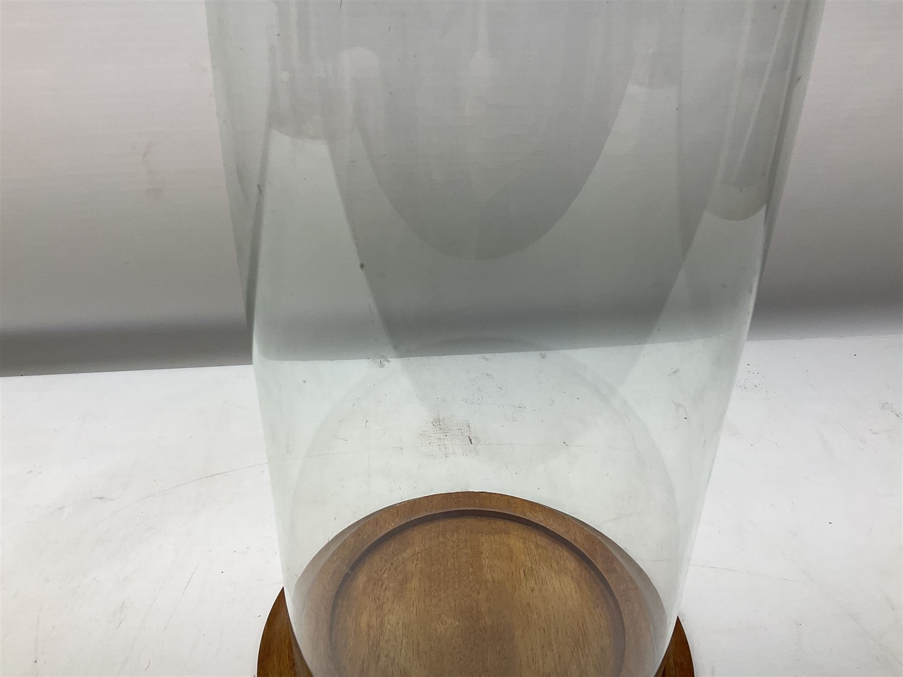 Glass dome display covers on a circular wooden base, H46cm