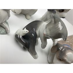 Five Lladro figures, comprising Cat and Mouse no. 5236, That Tickles no. 5888, Gentle Surprise no. 6210, Little Hunter no. 6212 and Resting Polar Bear no. 1208, largest H12cm