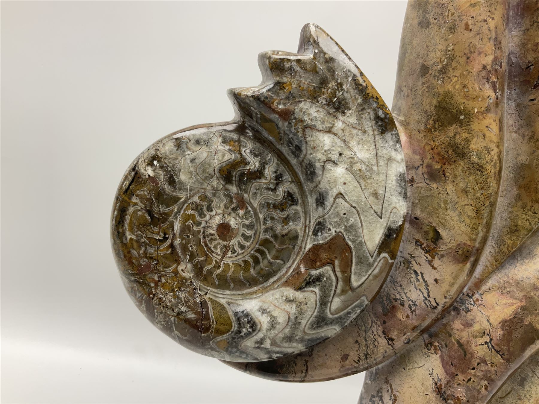 Goniatite sculpture, displaying two Goniatites within a polished and shaped matrix, age; Devonian period, H56cm