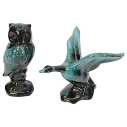 Collection of Blue Mountain Pottery, including owls, buffalo, deer etc, together with Poole Pottery Dolphins, owls frog etc 