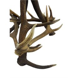 Stag antler occasional table, constructed with six antlers, circular stained beech top carved with leaves