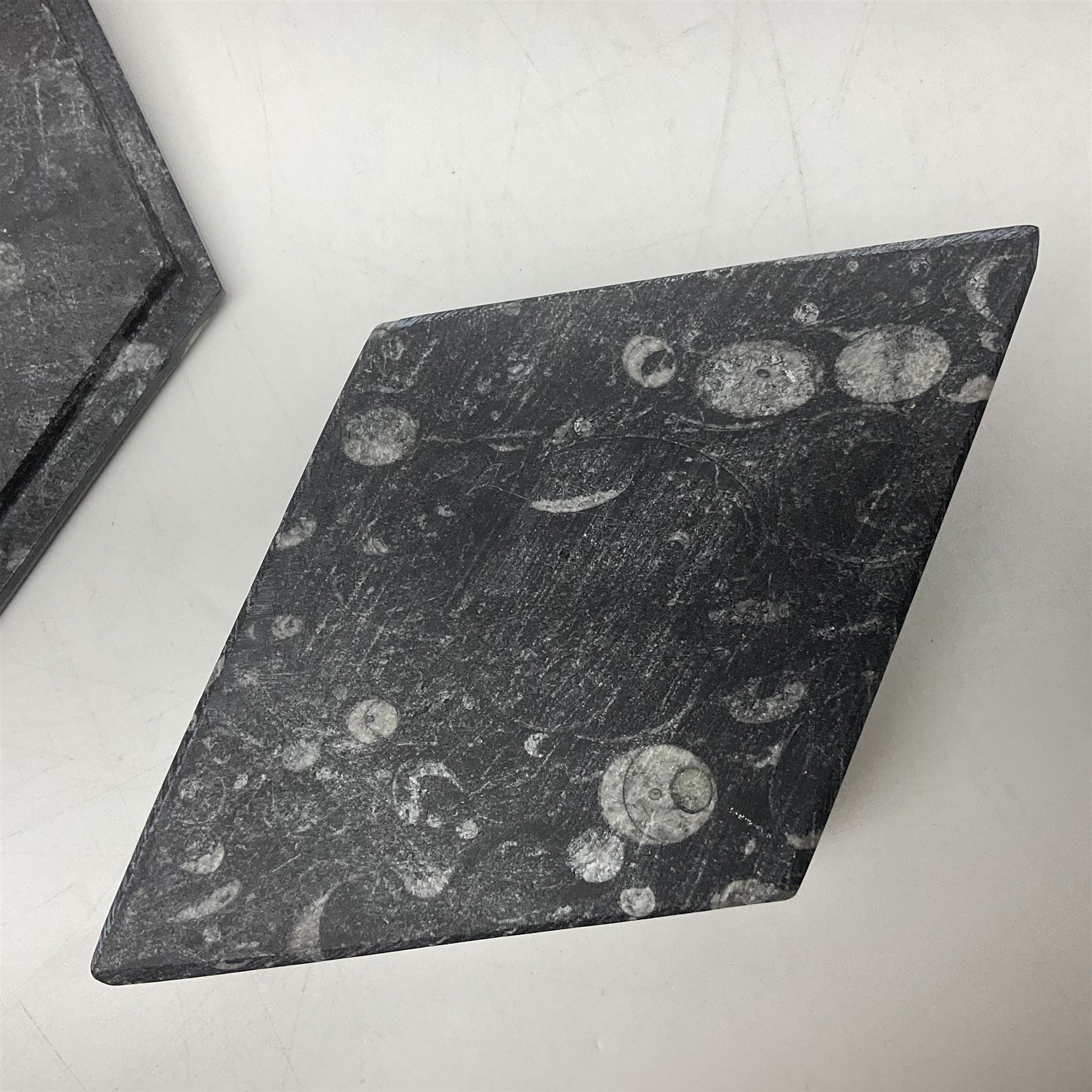 Two boxes, each in the form of a diamond with Orthoceras and Goniatite inclusions, the first with a raised Orthoceras to the lid, the second with a raised Goniatite to the lid, age: Devonian period, location: Morocco, L17cm, H5cm 