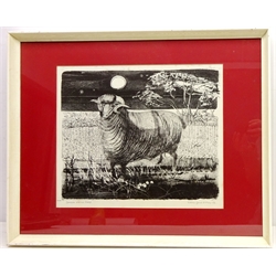  'Spanish Merino Sheep', lithograph signed, titled and dated '56 by Colin Gard Allen (British 1926-1987) 34cm x 44cm  