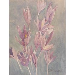 Edith Brearey Dawson (née Robinson) (British 1862-1928): Purple Flowers, watercolour signe...