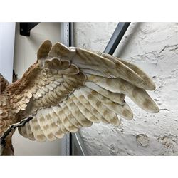 Country Artists 'The Owl's Oak' large figure group by Keith Sherwin, limited edition 53/99, with impressed marks, on wood base