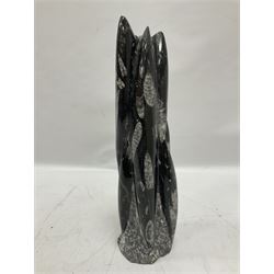 Orthoceras fossil tower, age: Devonian period, location: Morocco, H33cm