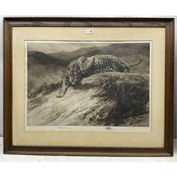 Herbert Thomas Dicksee (English 1862-1942): 'Stealth' - A Leopard, drypoint etching signed in pencil, initialled and dated 1914 in the plate 50cm x 71cm