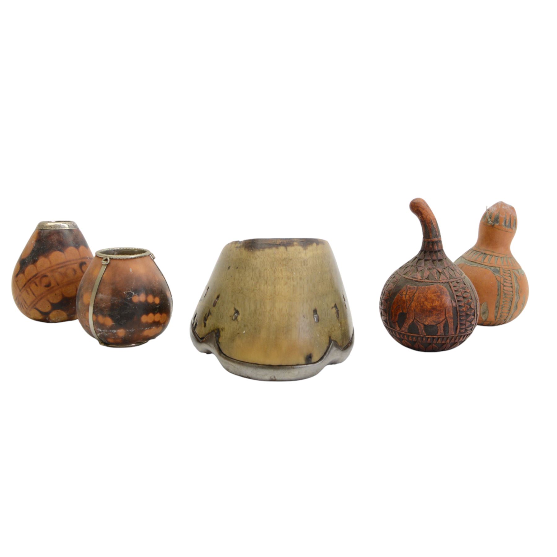 African calabash gourd | Taxidermy & Entomology | 141709
