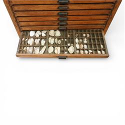 20th century oak printers cabinet, the rectangular top over a bank of twelve shallow drawers each fitted with a metal label handle, the drawers internally compartmentalised and containing an assortment of shells, raised on a shaped plinth base