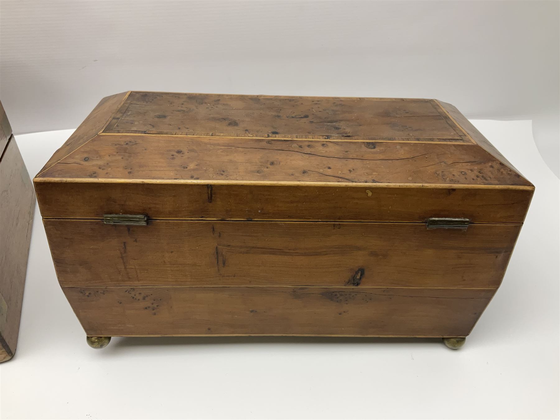 19th century burr yew wood tea caddy, of sarcophagus form, with strung details and brass mounts, the interior split into three compartments, upon four brass bun feet, together with an oak and brass bound writing slope, with red leather interior with gilt detailing, largest H16cm, W40cm