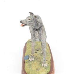 Limited edition Border Fine Arts B1053 Lurcher Grey, no. 106/500, by Margaret Turner, upon oval wooden plinth, H25cm