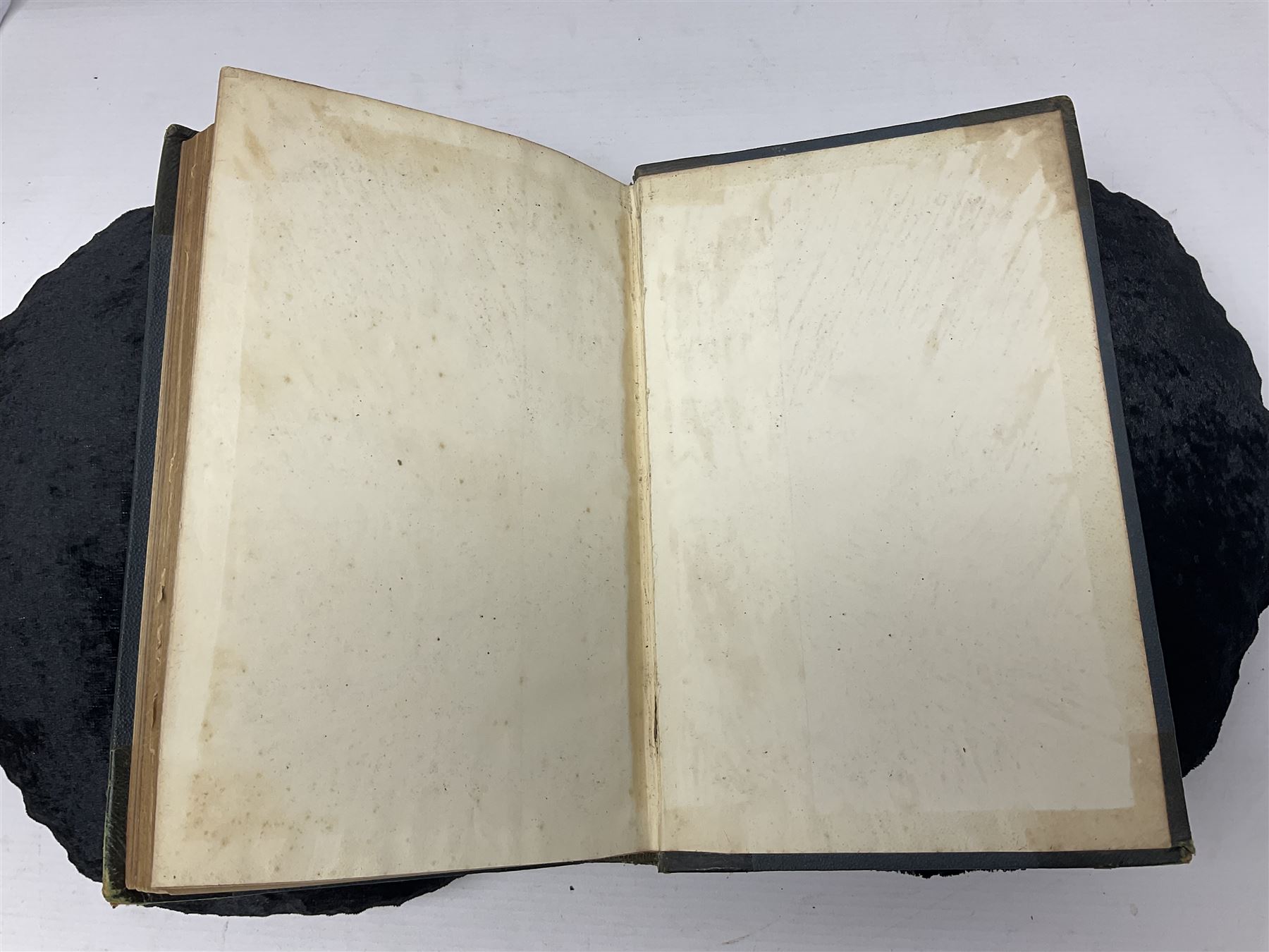 Oliver Goldsmith; Goldsmith’s Animal Nature A History of The Earth and Animated Nature, two volumes, A. Fullarton & Co London & Edinburgh, 1860